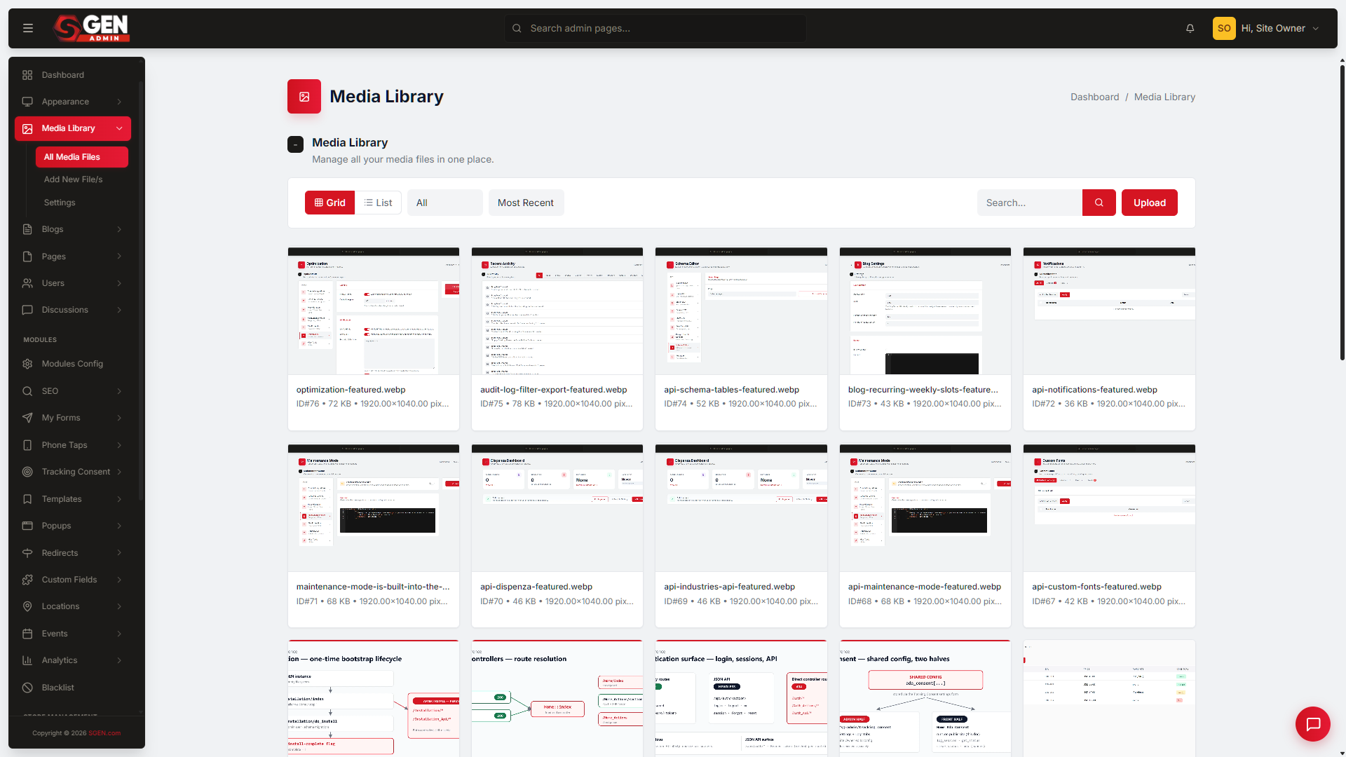The Media Library grid showing asset cards with thumbnails, filenames, and file sizes, plus the Add New File/s button and a search box.